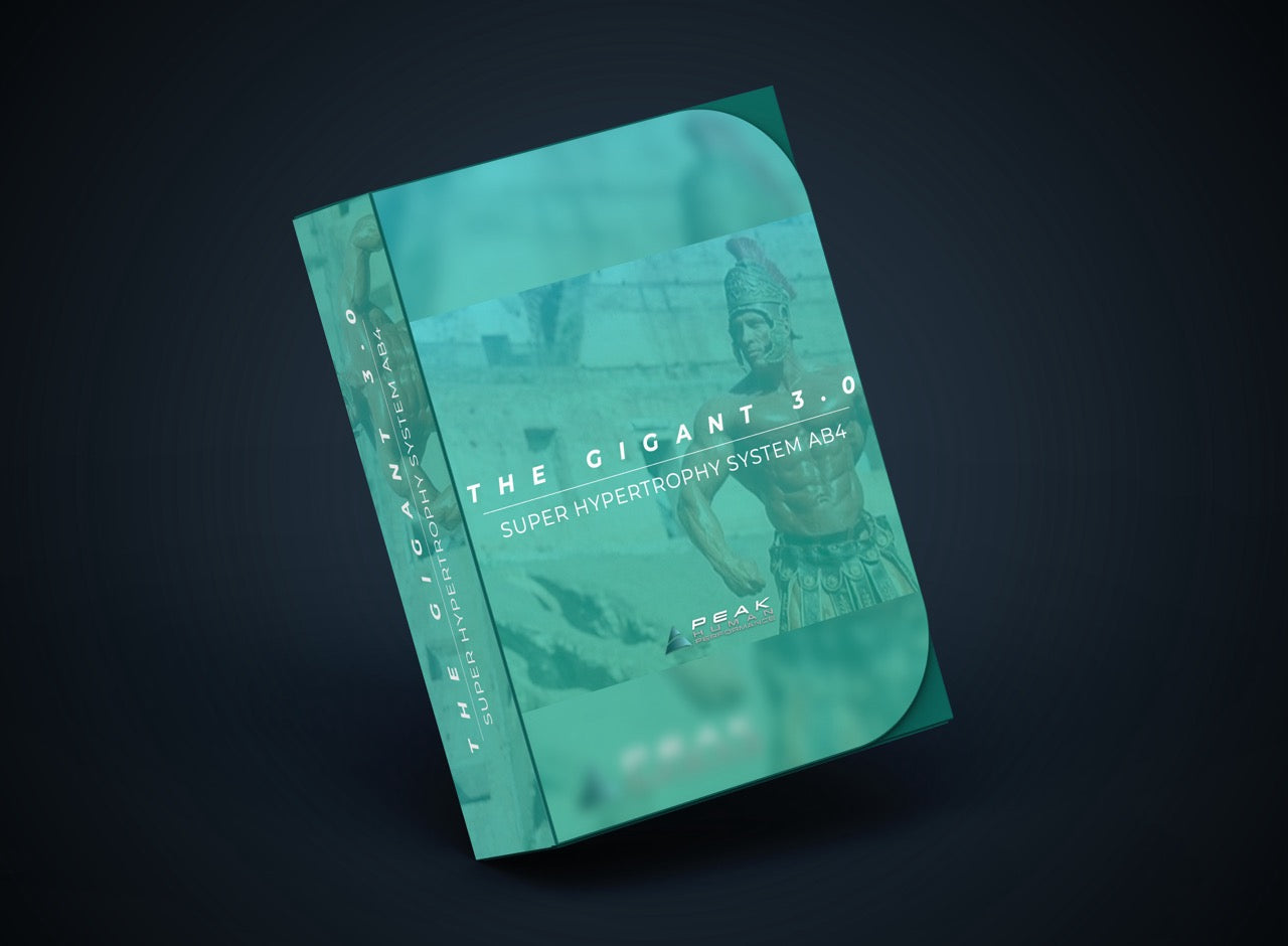 The Synchronizer Training System